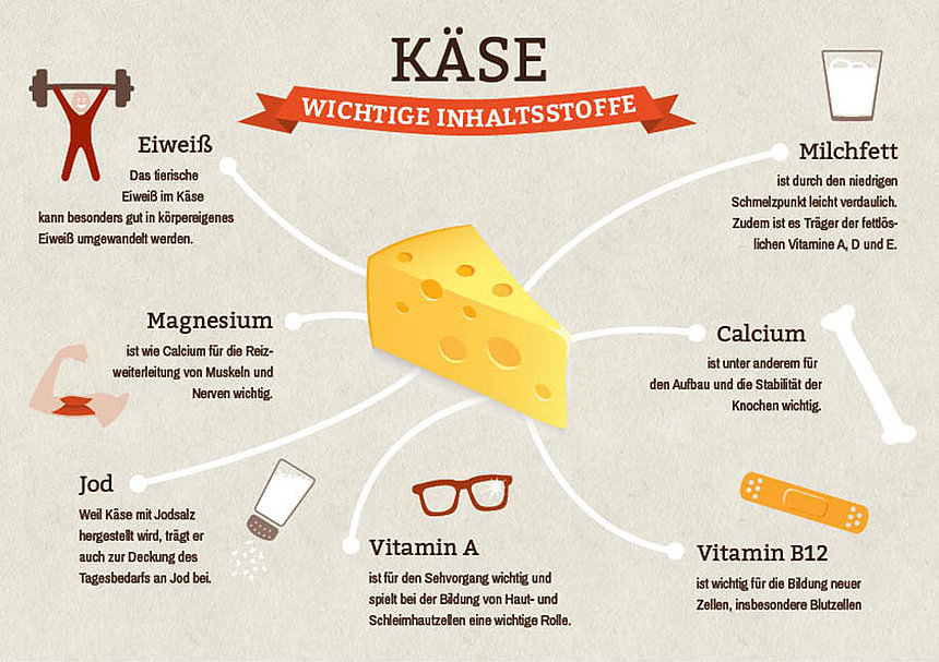 Wichtige Inhaltsstoffe von Kaese