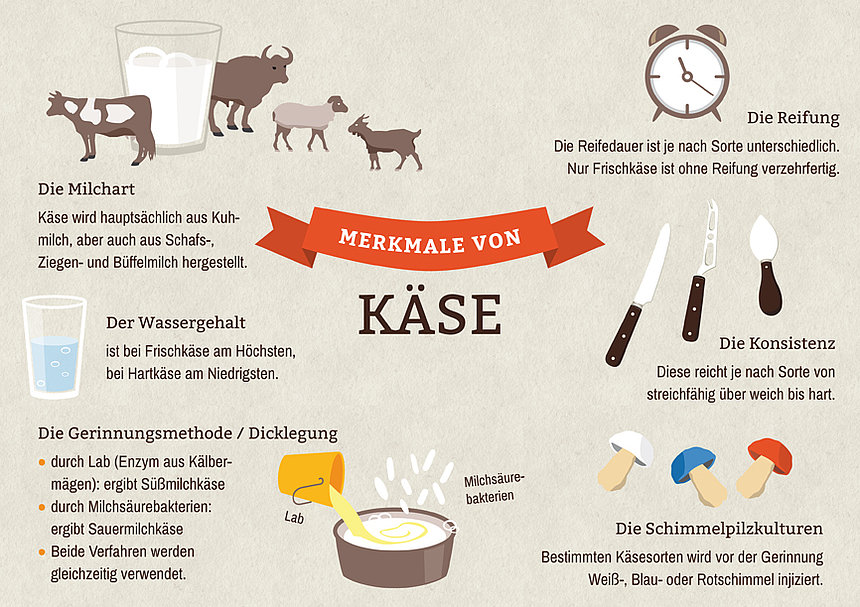 Merkmale von Kaese