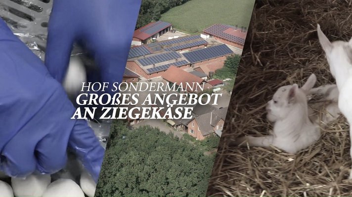 Beitragsbild zum Post 589