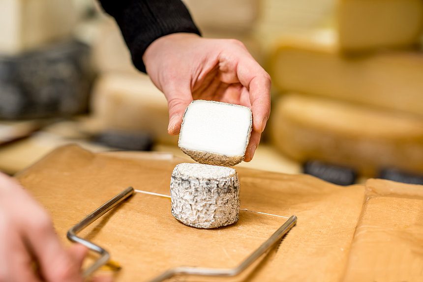 Weichkäse im der Käseharfe schneiden