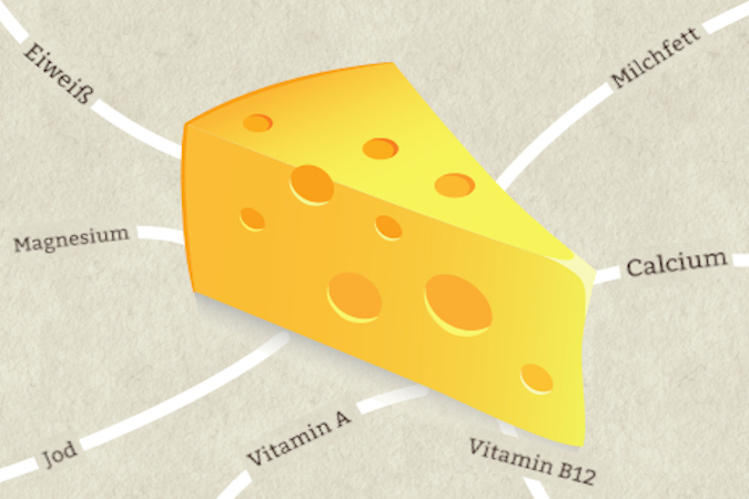 Inhaltsstoffe von Käse