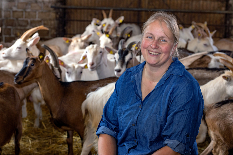 Hofladen dorsten sondermann  ziegenkäse käserei